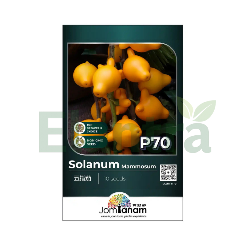 P70 MAMMOSUM